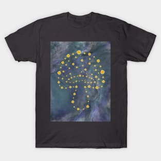 Mushroom Constellation T-Shirt